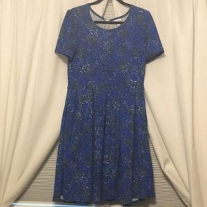 Gorgeous floral Lularoe Amelia!